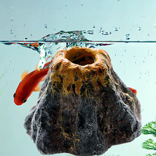 1pc aquarium fish - 1pc, tank