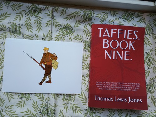 Taffies book welsh - taffies.,