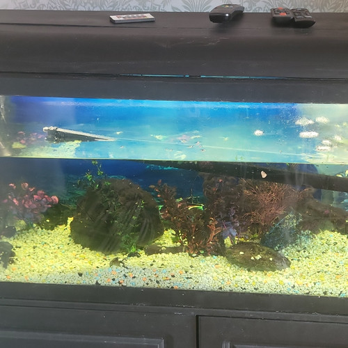 200l glass rectangular - 200l,