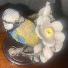 The Blue Tit from The Country Bird Collection by Andy Pearce 2002