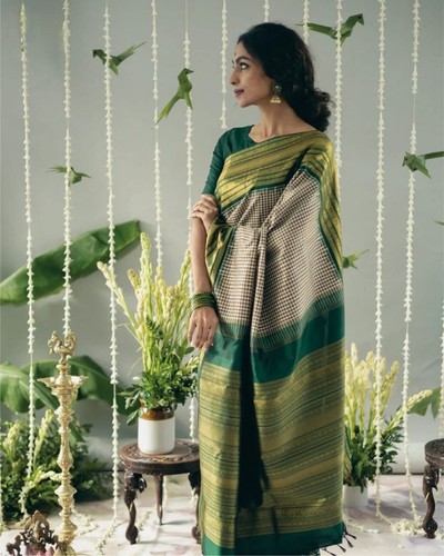 Sari indian pakistani wedding - sari,