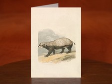 Honey-Badger by Samuel Howitt (1817) - A5 Art Print Greeting Card