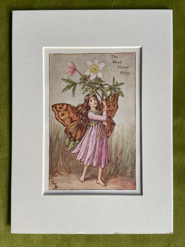 Windflower flower fairy - ‘windflower”,