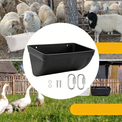Livestock feed trough chicken - livestock,