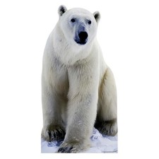 Polar Bear Lifesize Cardboard Cutout - 176cm