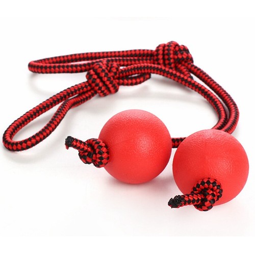 2pcs indestructible dog - 2pcs,