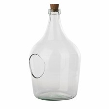 Open glass terrarium clear - glass,