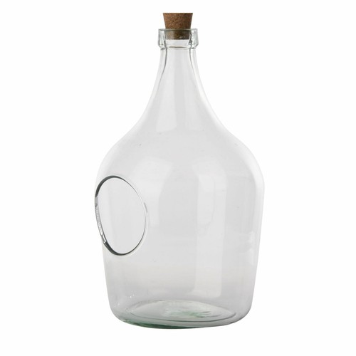 Open glass terrarium - terrarium, clear