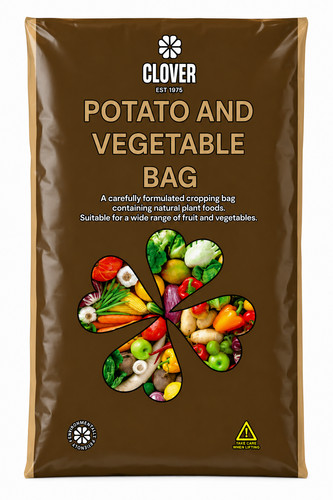 Clover potato vegetable - clover,