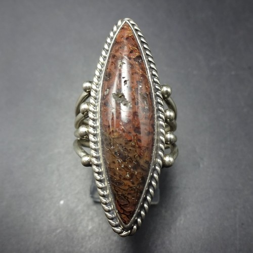 Orville tsinnie navajo - orville,