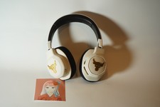 JBL Under Armour Project Rock