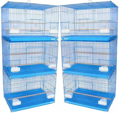 Lot blue canaries - 6,