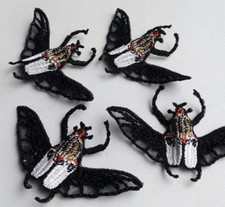 Beetle Goliath Insect 4 pcs