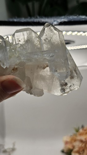 High quality large clear faden - large,
