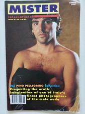 Mister International Gay