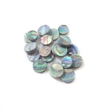Incudo paua abalone - abalone, inlay
