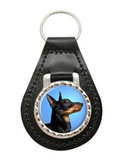 English Toy Terrier (Black &