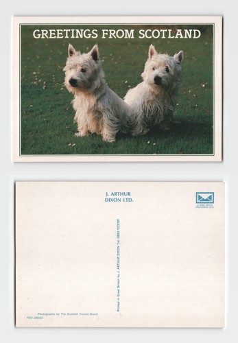 Postcard greetings from - postcard,