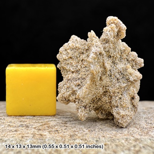 Rare sand rose - uk,