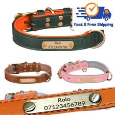 Dog Collar Personalised Soft Padded Leather Custom Engraved Name Pet ID Tag UK
