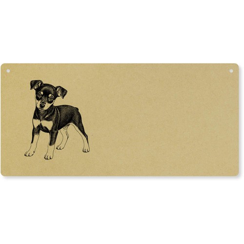 Miniature pinscher puppy - 'miniature, puppy'