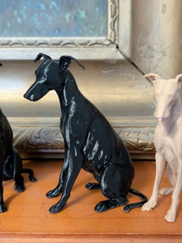 Greyhound lurcher whippet - greyhound,