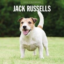 Jack Russells 2026 Square Wall