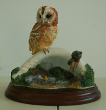border fine arts tawny owl on sink, 484350, 1998