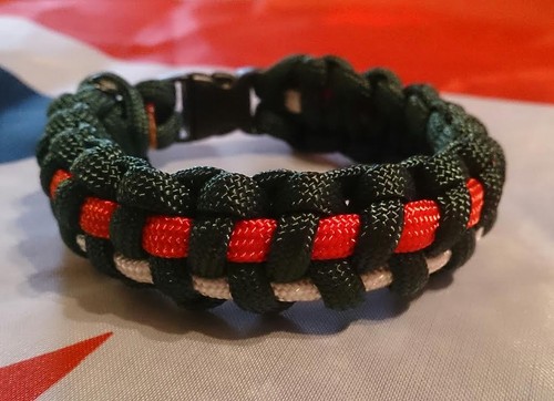 The staffordshire regiment - the,