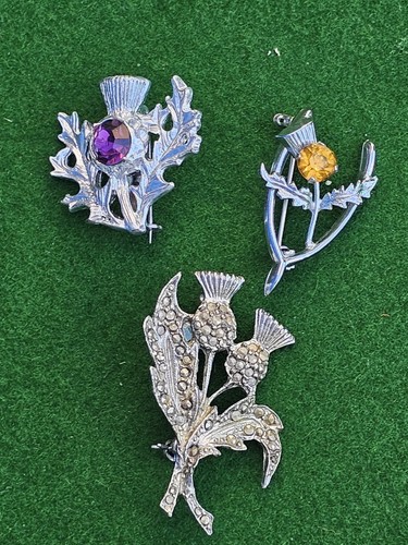 Vintage scottish thistle - scottish,