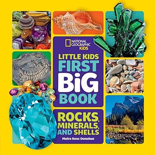 Little kids first big - book, of
