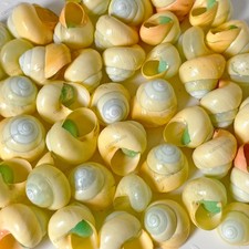 5 pcs Yellow Asperitas Land