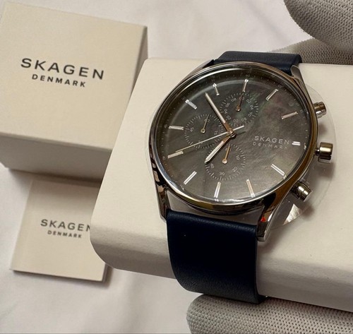 Skagen holst skw6653 - holst,