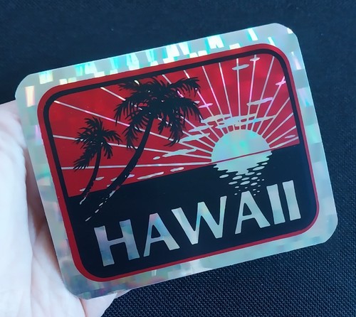Hawaii silhouette surf - surf, prism
