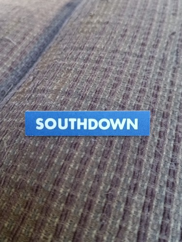 Southdown bus driver inspector - southdown,