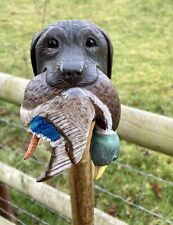 Labrador & Duck Hand Carved in Lime Country Walking stick on Hazel Shank