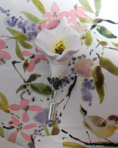 White arum lily pin calla - arum,