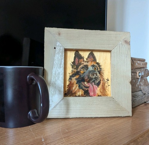 German shepherd dog - german, portrait2