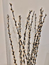 White Artificial Pussy Willow Stems x14 – 3ft 10in / 116cm Home Decor Display