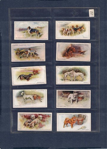 1924 john player - sons, dogs