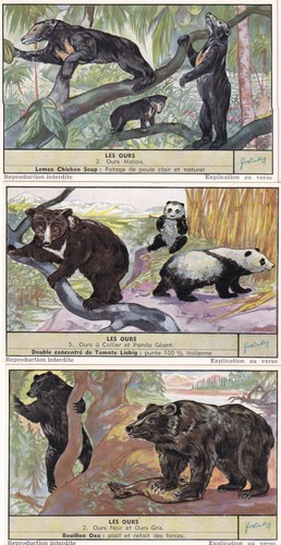 Liebig s1620 cards bears - liebig,