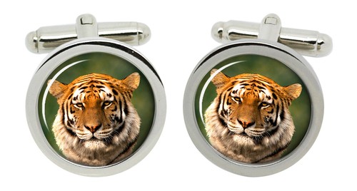 Siberian tiger cufflinks - siberian,