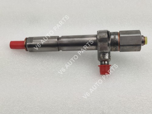 Delphi diesel fuel injector - diesel,