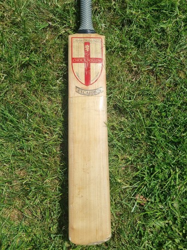 Choice willow cricket bat - choice,