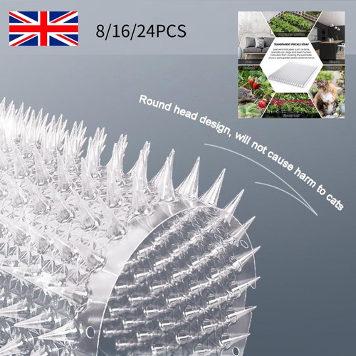 24pcs cat scat - mat, spike