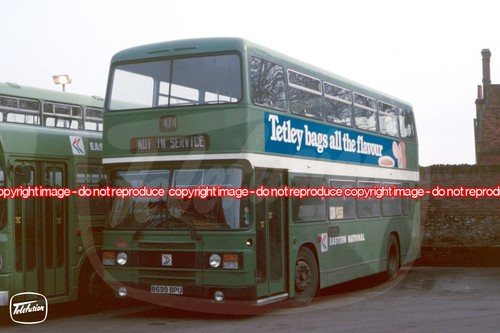 Bus photo eastern national - photo,