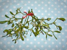 Fresh Mistletoe 3 Sprig Bunch