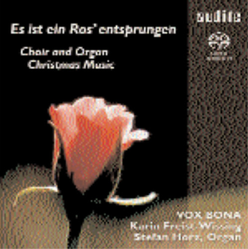 Vox bona choir and organ - choir,
