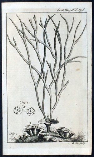 1756 gents magazine antique - 1756,