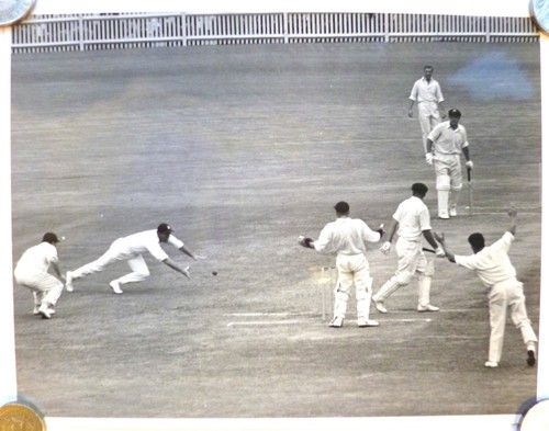 Original cricket photograph - photograph,